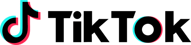 TikTok Logo
